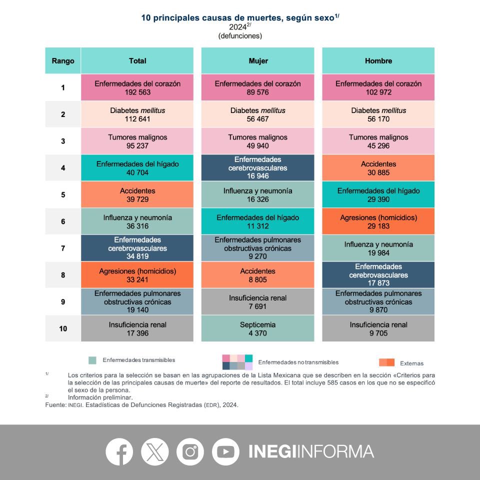 Gráfica de enfermedades en México. Foto de Inegi