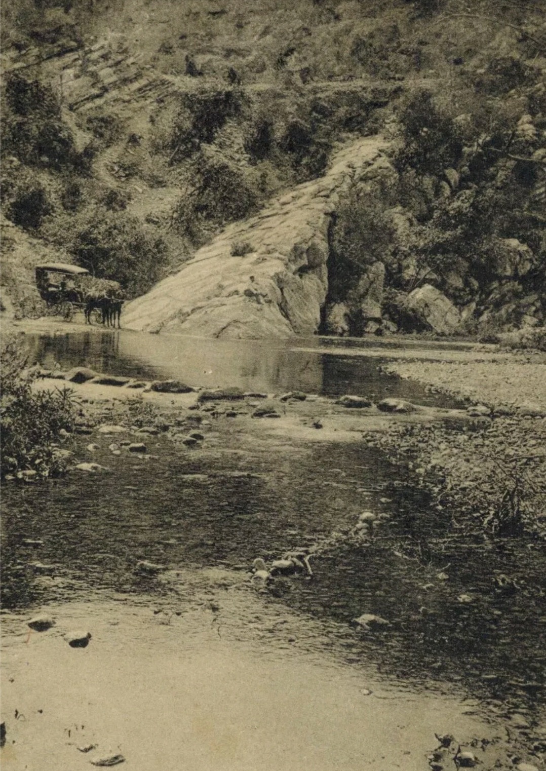 Cochero en La Peñita