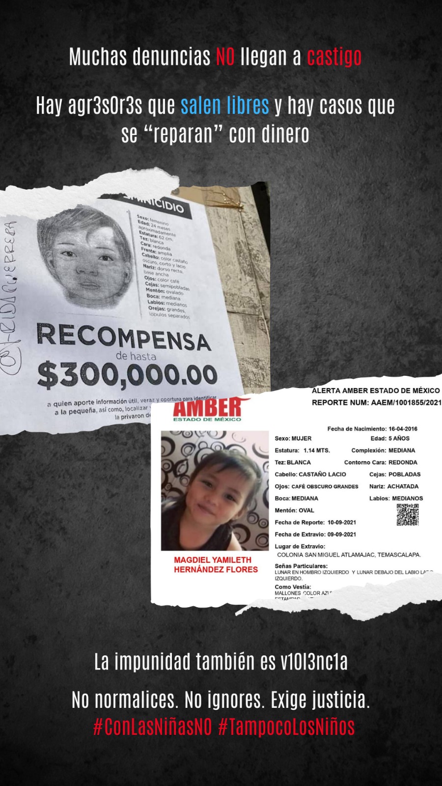 MATERIAL PARA COLUMNA FEBRERO 2026