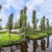 Piden declarar chinampas como patrimonio cultural