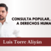 Consulta Popular, un “Sí” a Derechos Humanos