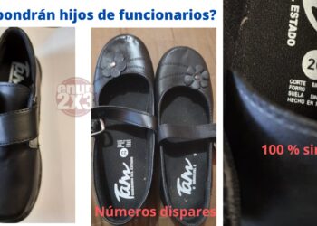 Entrega GobTam zapatos sintéticos de 30 y 50 pesos