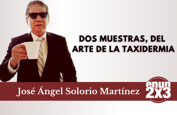 Dos muestras, del arte de la taxidermia
