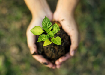 En México, el 18% de la población está comprometida con el medioambiente