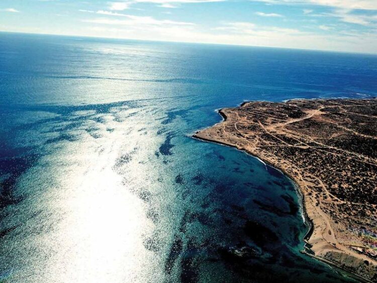 Paraíso marino está bajo amenaza; pescadores de langosta y pulpo, en riesgo