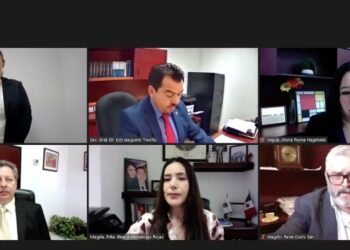 Por errores del Trieltam, piden que Morena argumente candidatura de AVA