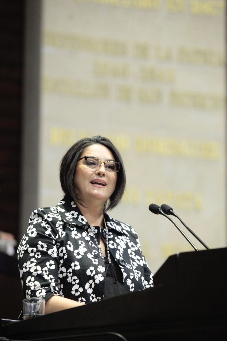 Aprueba Cámara de Diputados iniciativa de Olga Elizondo para fortalecer MYPYMES