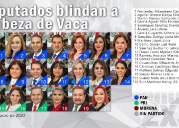 Estos son los diputados que con su voto pretenden blindar a CDV ante un resultado adverso de la SCJN