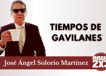 Tiempos de gavilanes