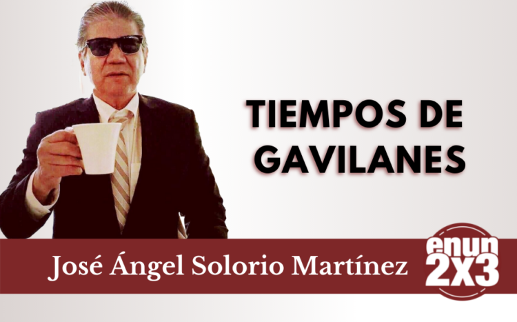 Tiempos de gavilanes