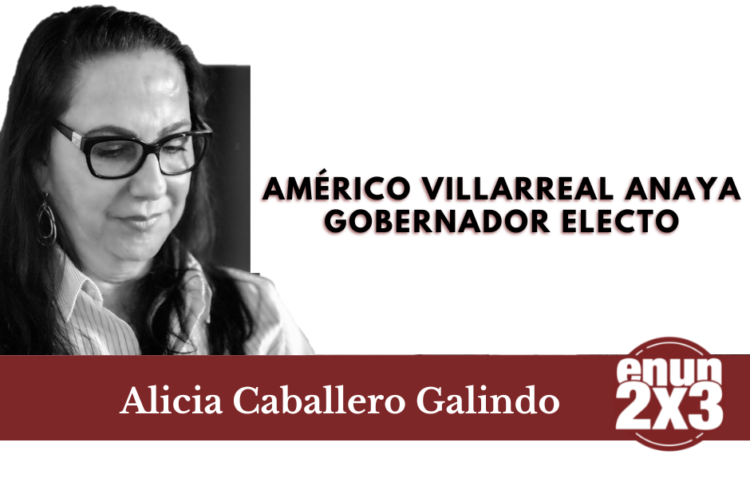 Américo Villarreal Anaya, Gobernador electo
