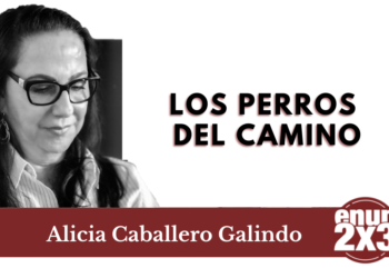 Los perros del camino 