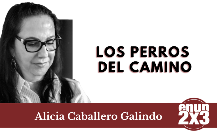 Los perros del camino