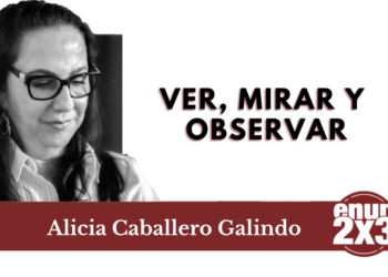 Ver, mirar y observar