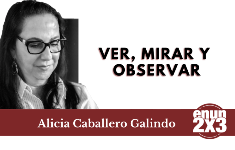 Ver, mirar y observar