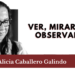 Ver, mirar y observar