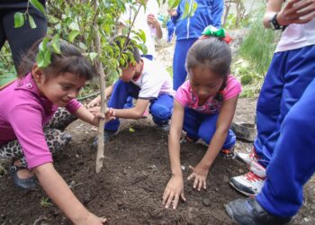 Cuidar el medio ambiente desde las escuelas