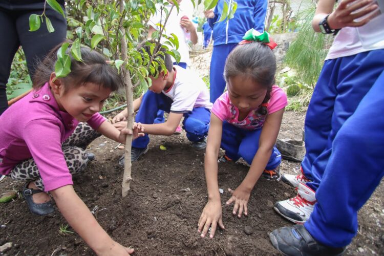 Cuidar el medio ambiente desde las escuelas