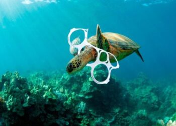 ¿Cómo contaminan los plásticos al medio ambiente?