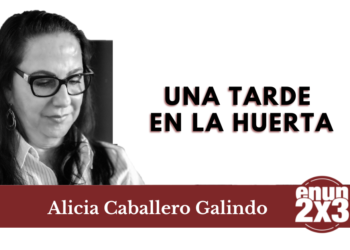 Una tarde en la huerta 