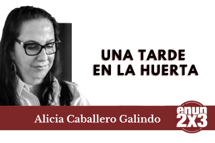 Una tarde en la huerta 