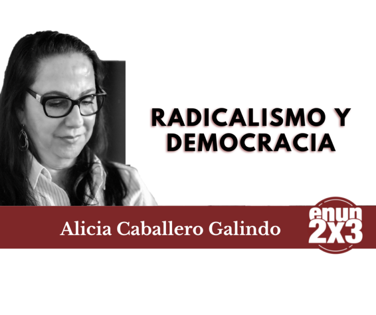 Radicalismo y democracia