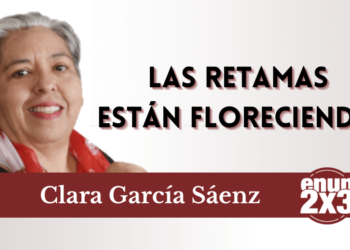 Las retamas están floreciendo