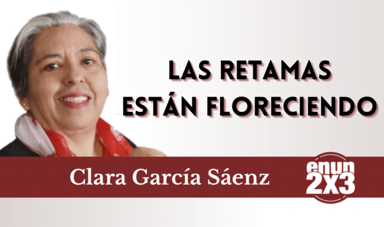 Las retamas están floreciendo