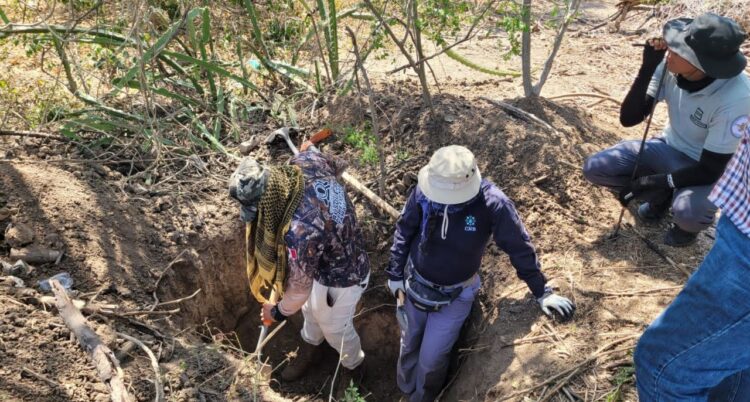 Diputado sobre desaparecidos: En su mayoría son gente relacionada con la delincuencia
