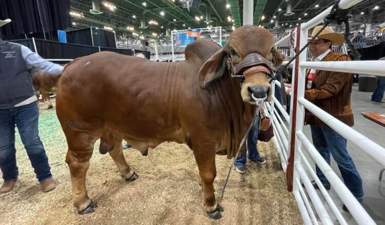 Si no está en México, ¿dónde ha estado el exgobernador Cabeza de Vaca?