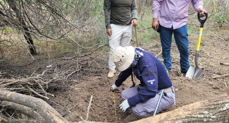 Tamaulipas, segundo lugar nacional en fosas clandestinas halladas desde 2006