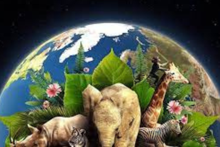 Día de la Tierra: cuándo es, por qué se fundó y desde cuándo se conmemora