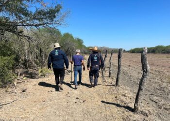Tamaulipas ocupó el primer lugar nacional en extranjeros desaparecidos con Cabeza