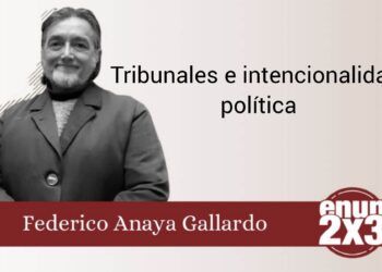 Tribunales e intencionalidad política