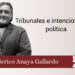 Tribunales e intencionalidad política
