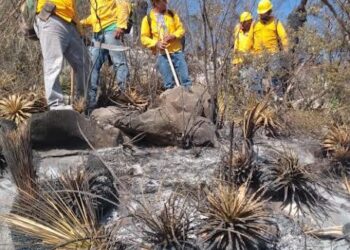 CONTINÚA COMBATE DE INCENDIOS FORESTALES