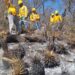 CONTINÚA COMBATE DE INCENDIOS FORESTALES