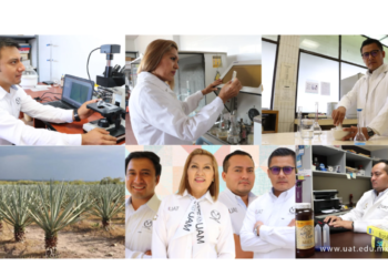 Buscan revalorizar el uso y aprovechamiento integral del henequén