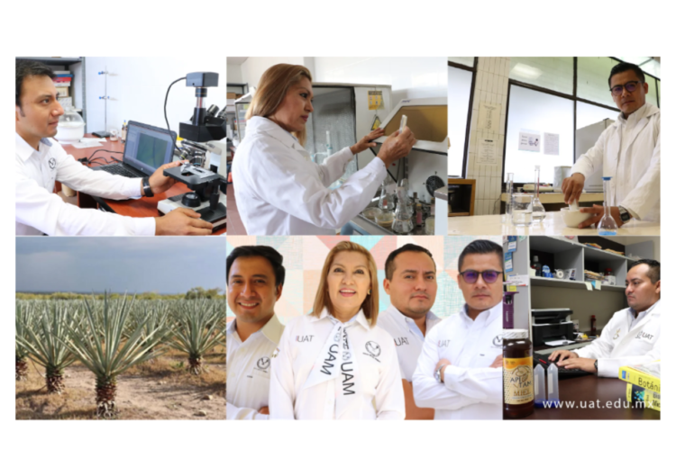 Buscan revalorizar el uso y aprovechamiento integral del henequén