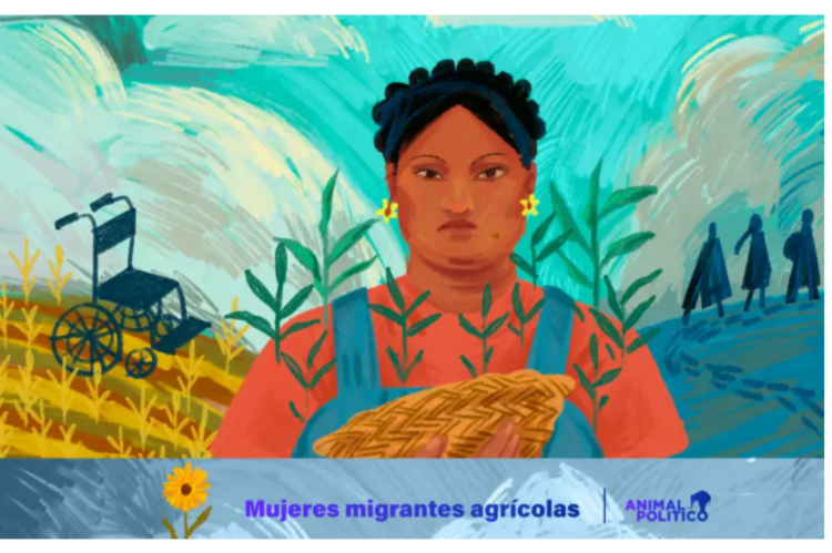 Mujeres sometidas a la esclavitud en el trabajo agrícola