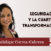Seguridad y la Cuarta Transformación