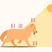 Consejos para cuidar a tu mascota en época de calor