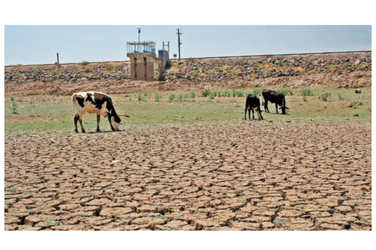 Almacenamiento de agua en las presas de México, a 41%