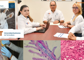 La UAT lanza la primera edición de la revista Ciencias Veterinarias y Producción Animal