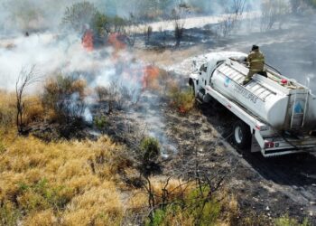 Reporta Protección Civil 20 llamadas por quema de pastizales debido a las altas temperaturas