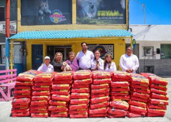 Dona Gobierno de Reynosa 2.7 toneladas de alimento para animales refugiados