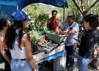Reynosenses reforestan la ciudad con programa del municipio
