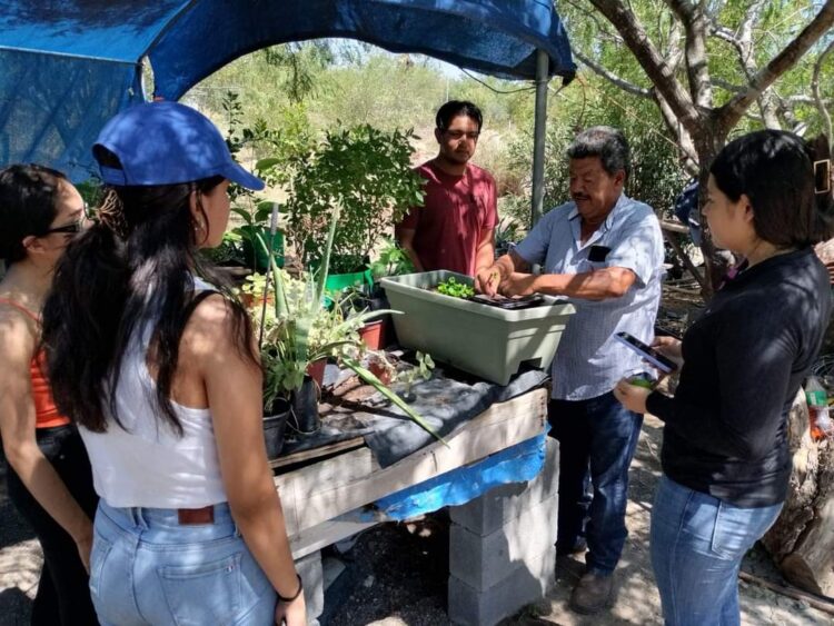 Reynosenses reforestan la ciudad con programa del municipio