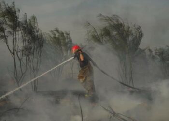 Atiende Gobierno de Reynosa incendios provocados