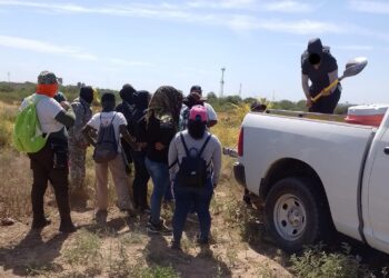 Descubren nueva zona de exterminio en Reynosa